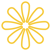 shape